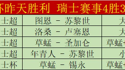 《罗杯战绩起伏之谜：11胜10负，背后的数据波动真相揭秘》