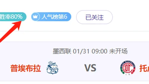 猫区热议：詹姆斯与库里谁更受欢迎？热议度飙升，讨论量突破23条！